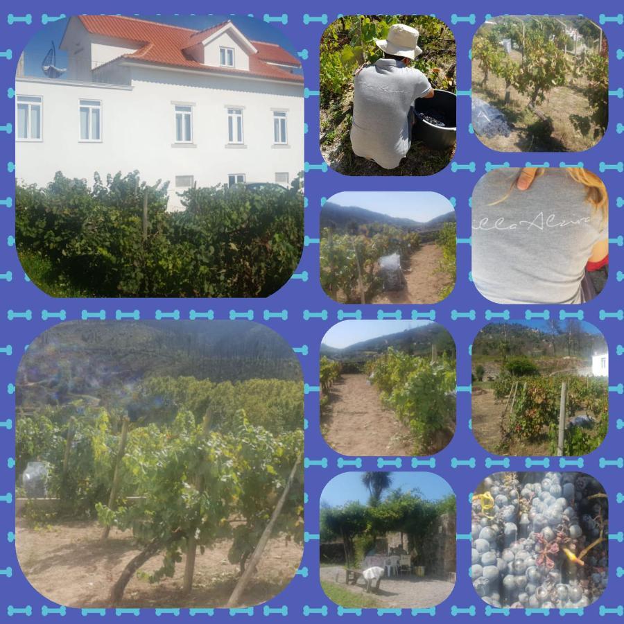 Villa Alzira Сейя Екстер'єр фото