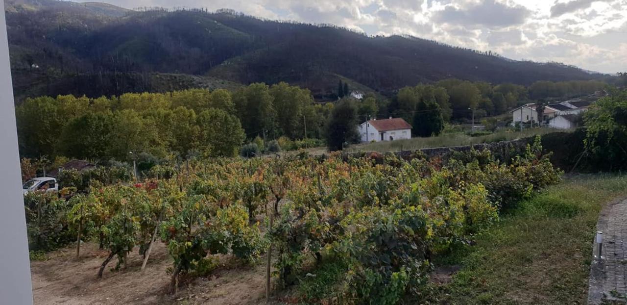 Villa Alzira Сейя Екстер'єр фото
